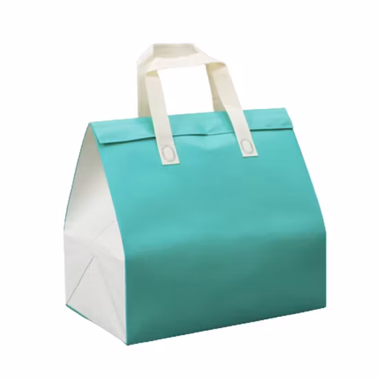 Sac de livraison de nourriture de boîte de refroidisseur d'organisateur de boîte adapté aux besoins du client Non