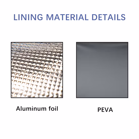 Sac thermique portatif de déjeuner imperméable de refroidisseur de sac d'isolation de pique-nique de logo fait sur commande